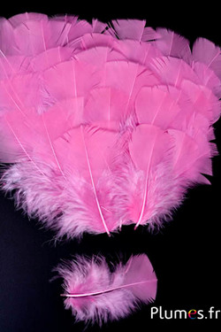 Tacchina - 6-8 cm - rosa vecchia